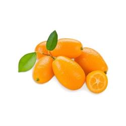 Kumquat My Flavor Kumquat My Flavor